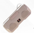 Swiss Military Bluetooth Speaker- The Edge Series ( BL25 )