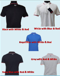 Arrow Polo T Shirt with Tipping
